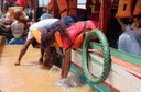 Codevasf realizou a soltura de mais 57 mil alevinos de espécies nativas no rio São Francisco.