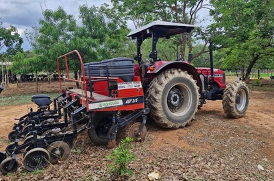 Dia de campo 1