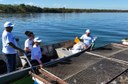 Aquicultura em tanques-rede no Lago de Palmas