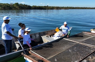 Aquicultura em tanques-rede no Lago de Palmas