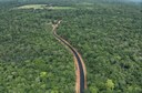 Ramal da Flora do Matapi