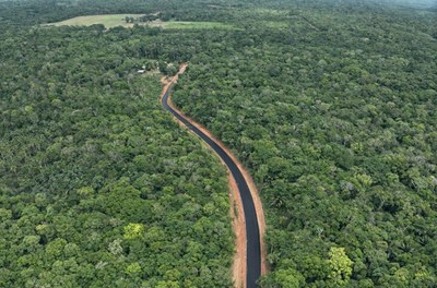 Ramal da Flora do Matapi