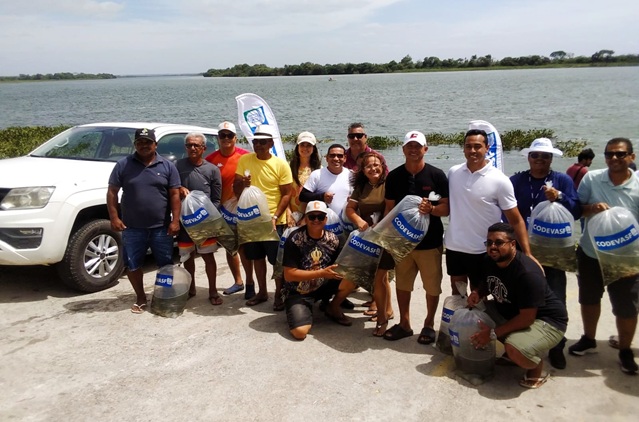 Peixamento em Ilha das Flores