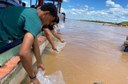 Peixamento em Bom Jesus da Lapa