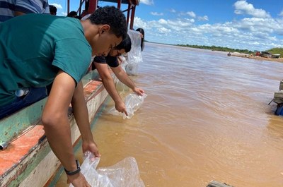 Peixamento em Bom Jesus da Lapa