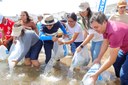 Peixamento em Sergipe nos festejos de Bom Jesus dos Navegantes