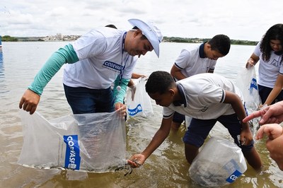 Peixamento sergipe