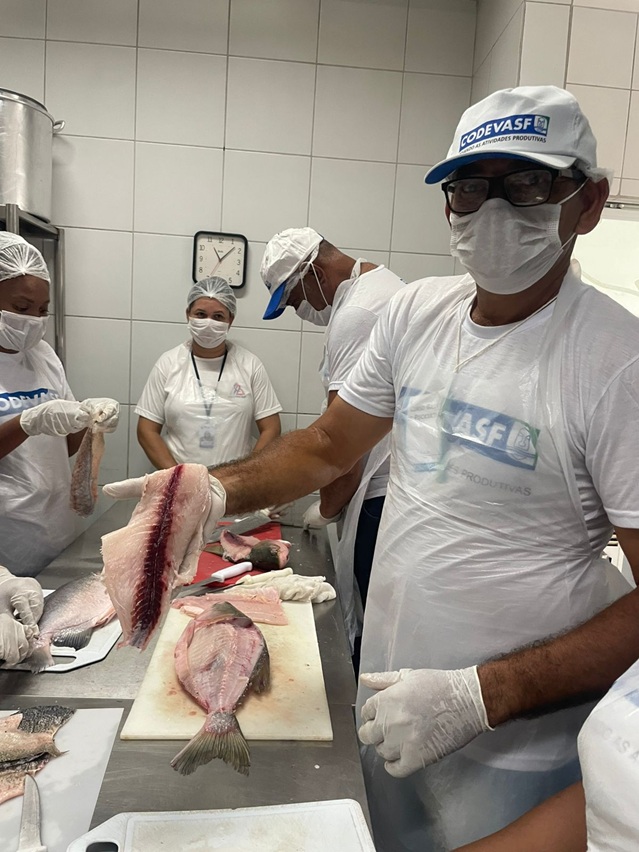 Beneficiam ento de pescado na Bahia 02