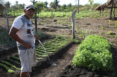 agricultura familiar