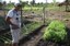 agricultura familiar