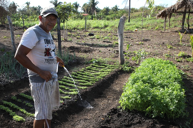 agricultura familiar