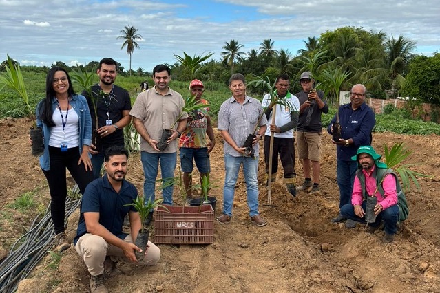 Açaí