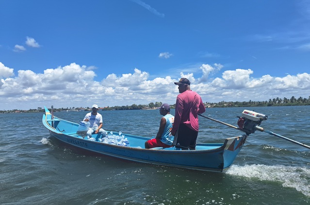 Peixamento Alagoas