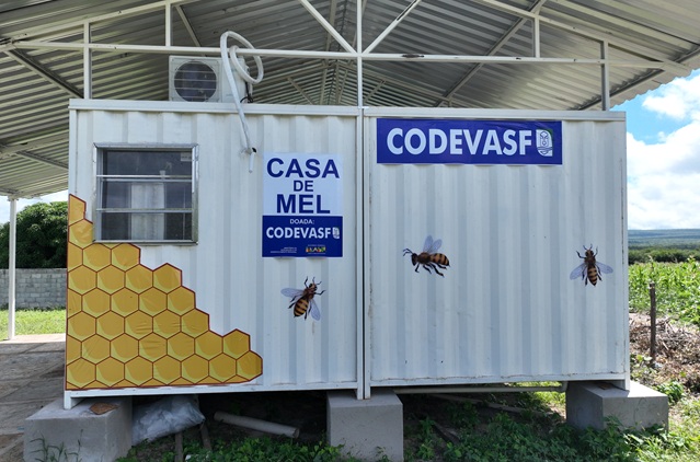 Casa de Mel em Buriti dos Montes (PI)