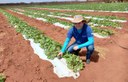 Produtor rural no RN