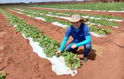 Produtor rural no RN